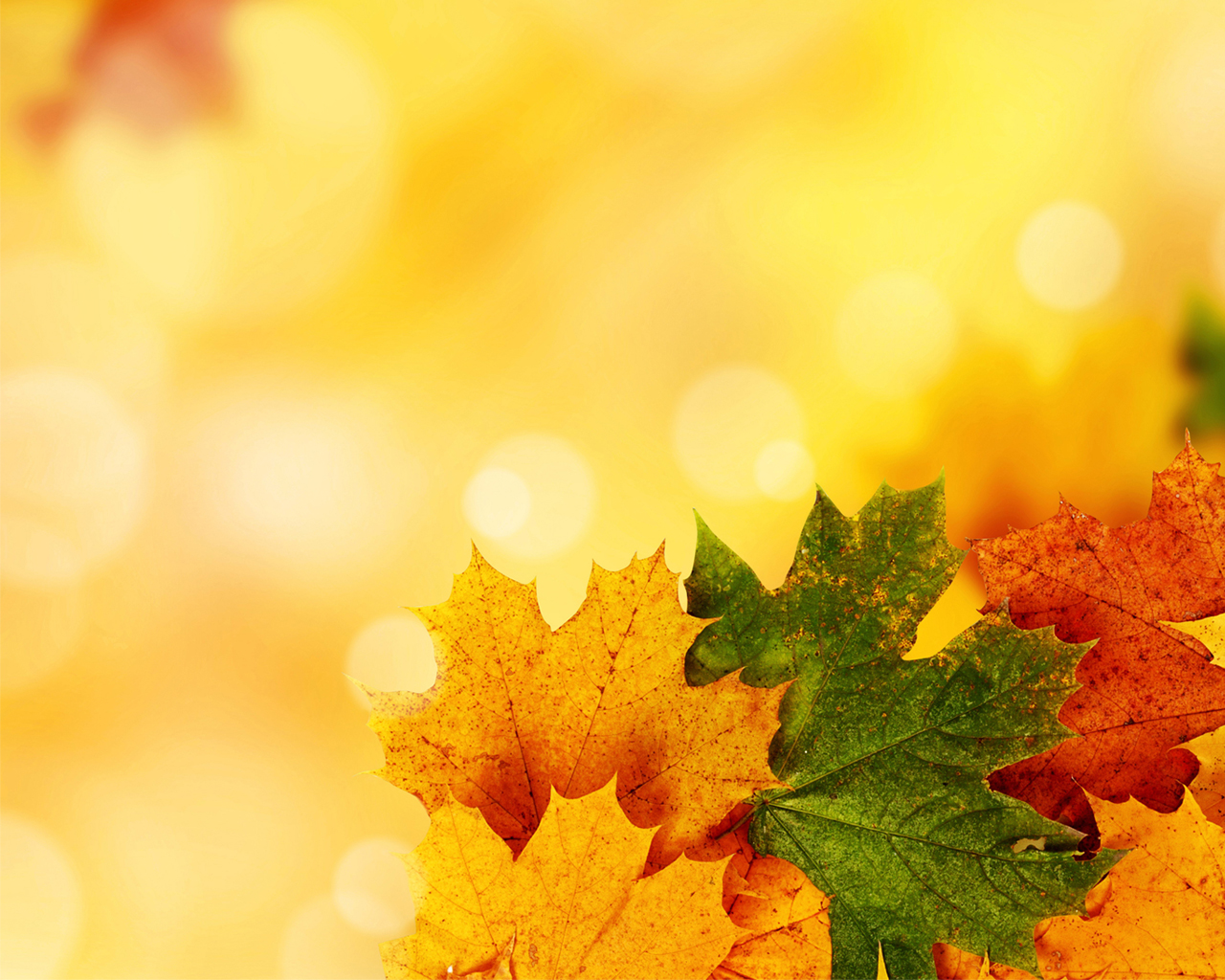 🔥 Yellow Autumn PowerPoint Background | CBEditz