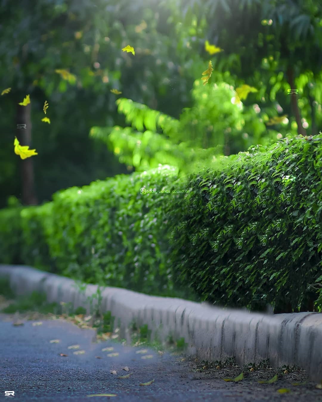 Nature Backgrounds For Photo Editing