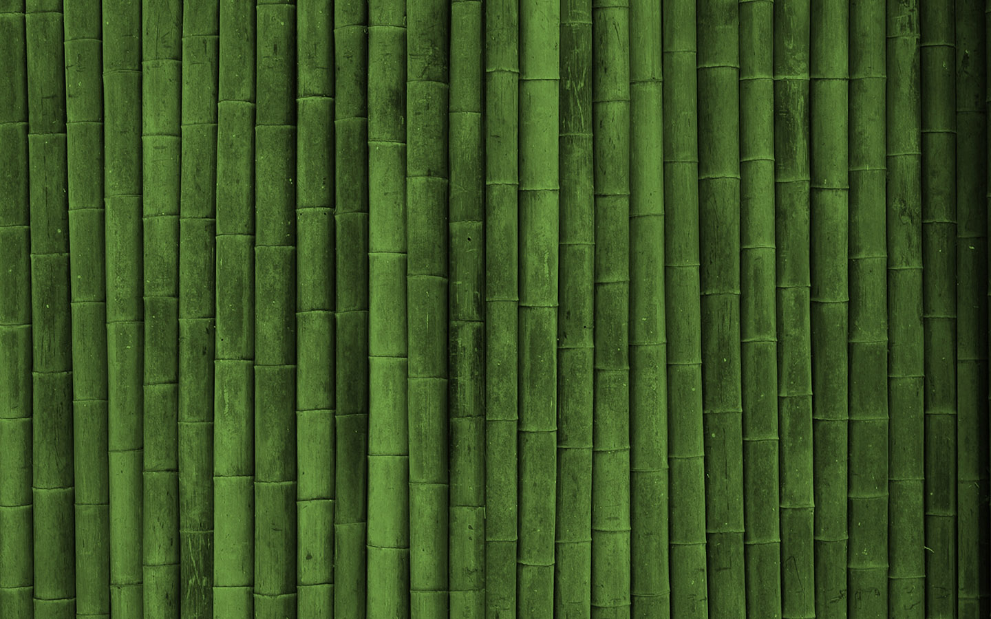 Bamboo tree Wallpapers Download | MobCup