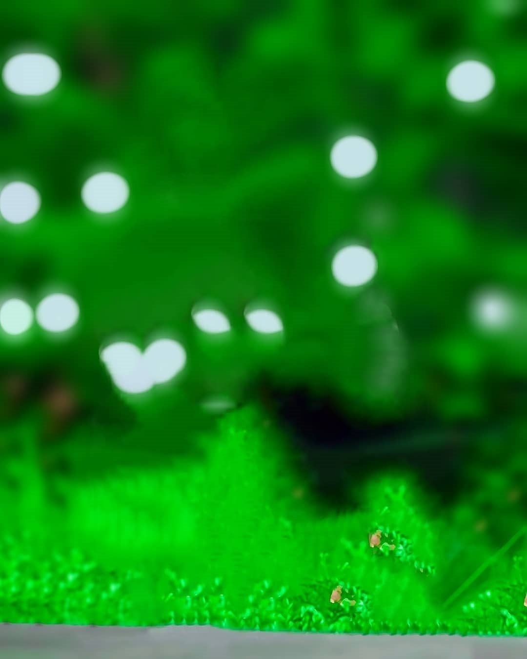  Green Blur PicsArt Editing Background Full HD Download | CBEditz