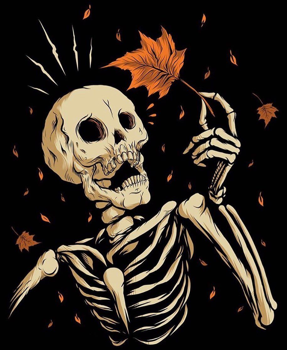  Halloween Skeleton HD Wallpaper Background Pic  CBEditz