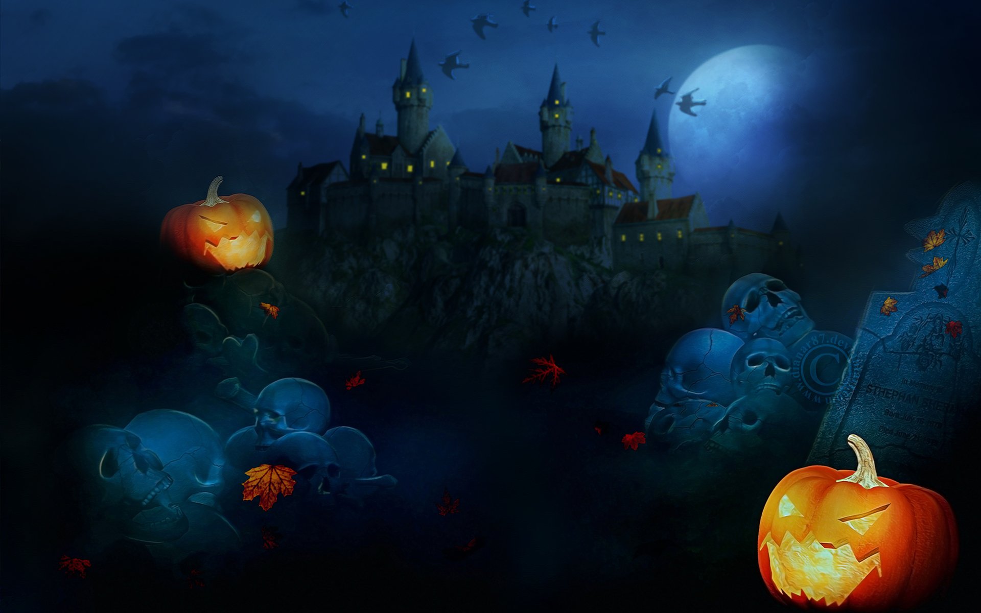 Halloween Background Photos and Wallpaper for Free Download