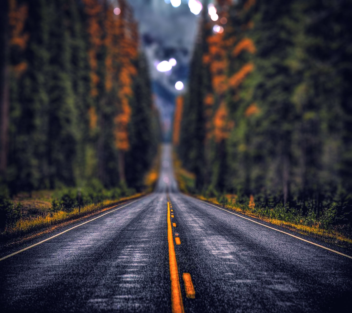 Forest Road Cb Editing Picsart Background Hd Download Cbeditz