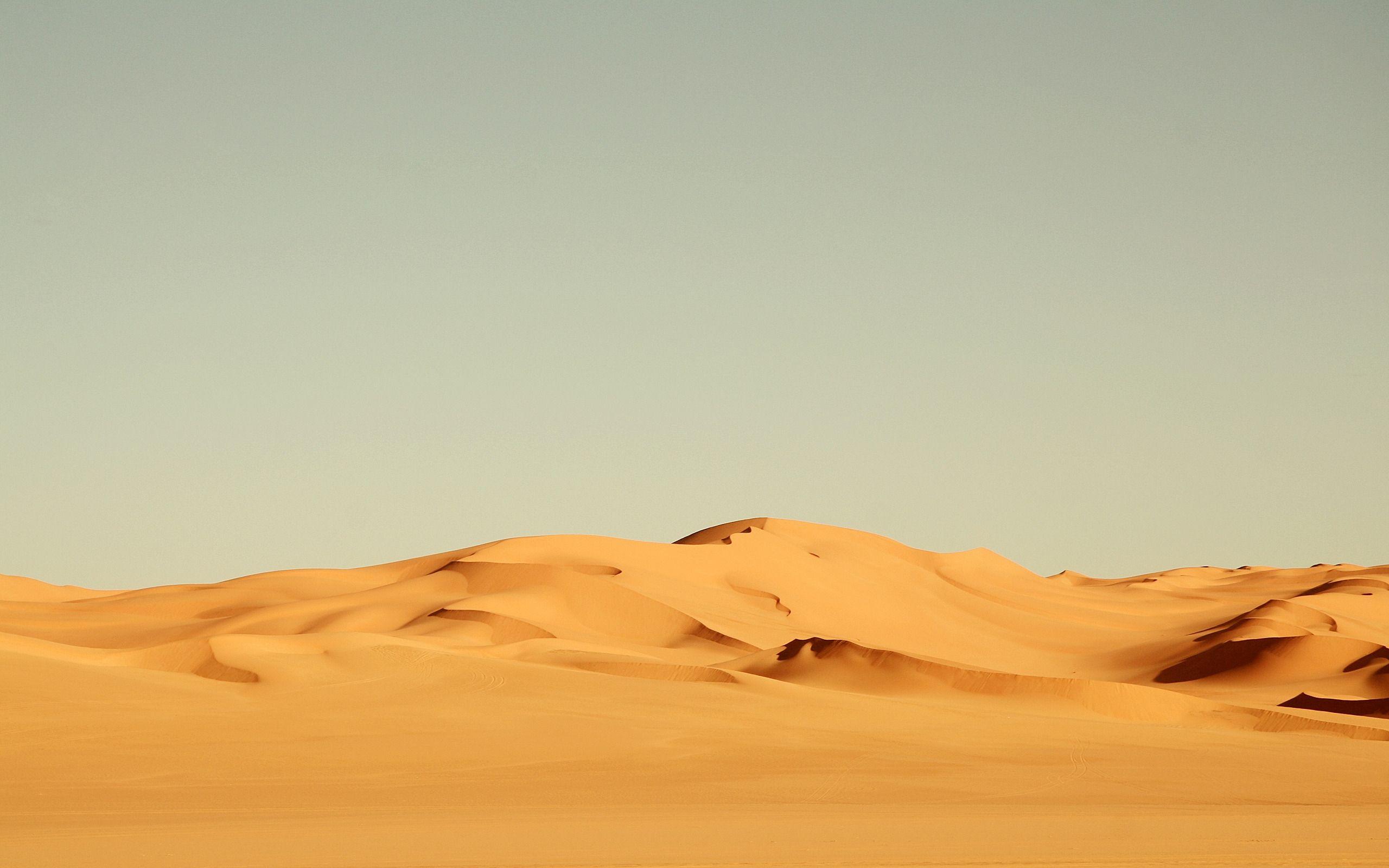 30k+ Arabian Desert Pictures | Download Free Images on Unsplash