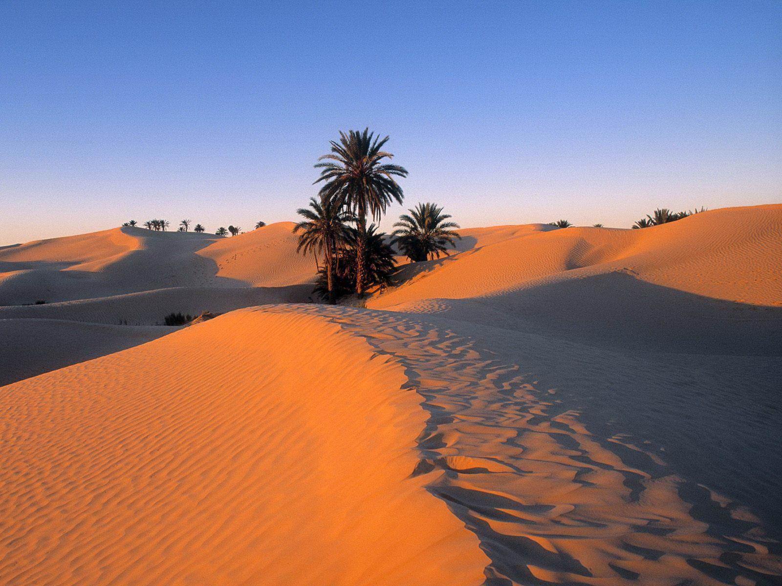 Photos of Uzbekistan: Images and photos