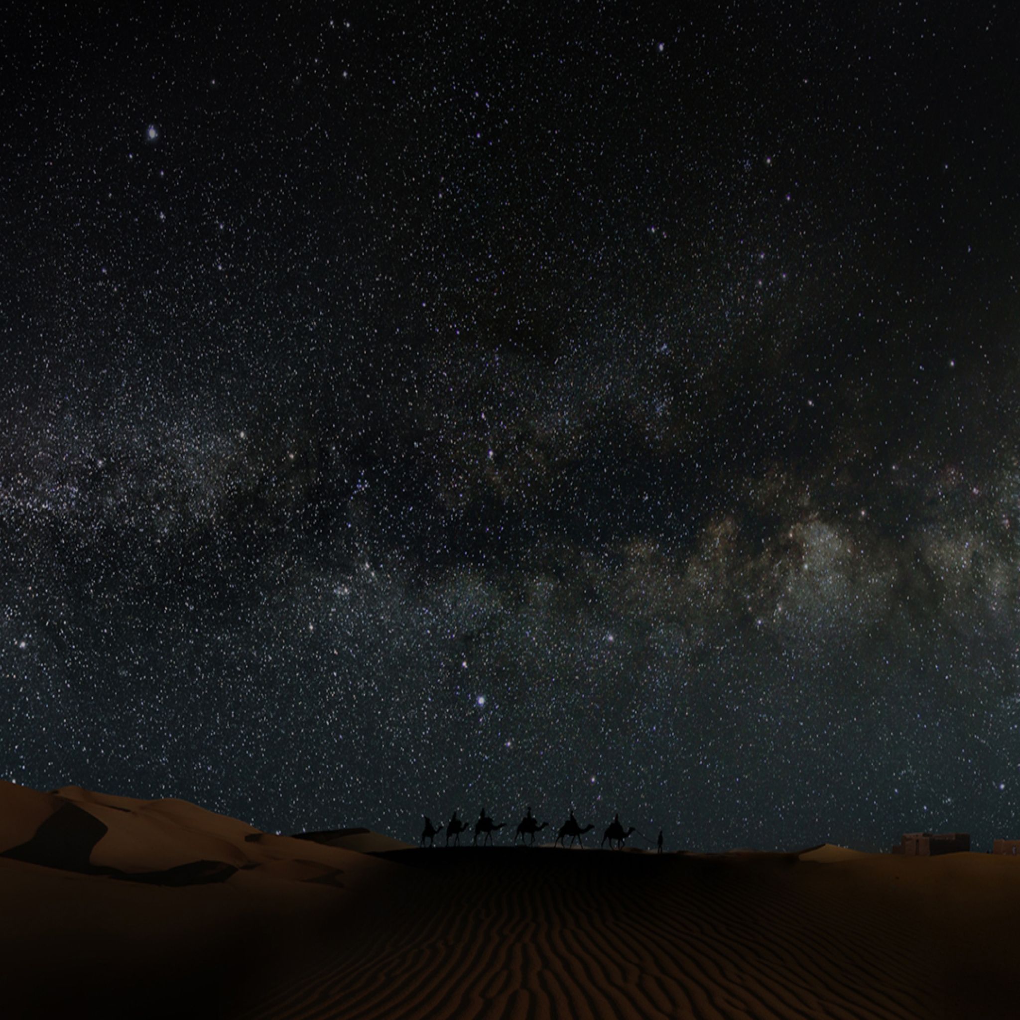 Desert Night Images  Free Download on Freepik