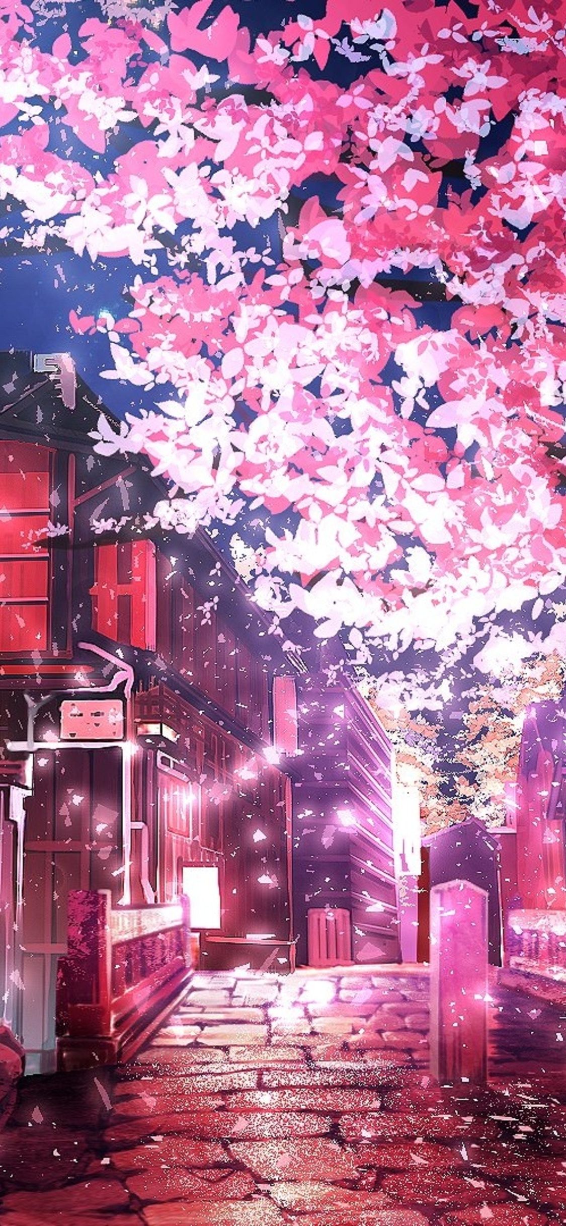 Cherry Blossom Anime Wallpapers  Wallpaper Cave