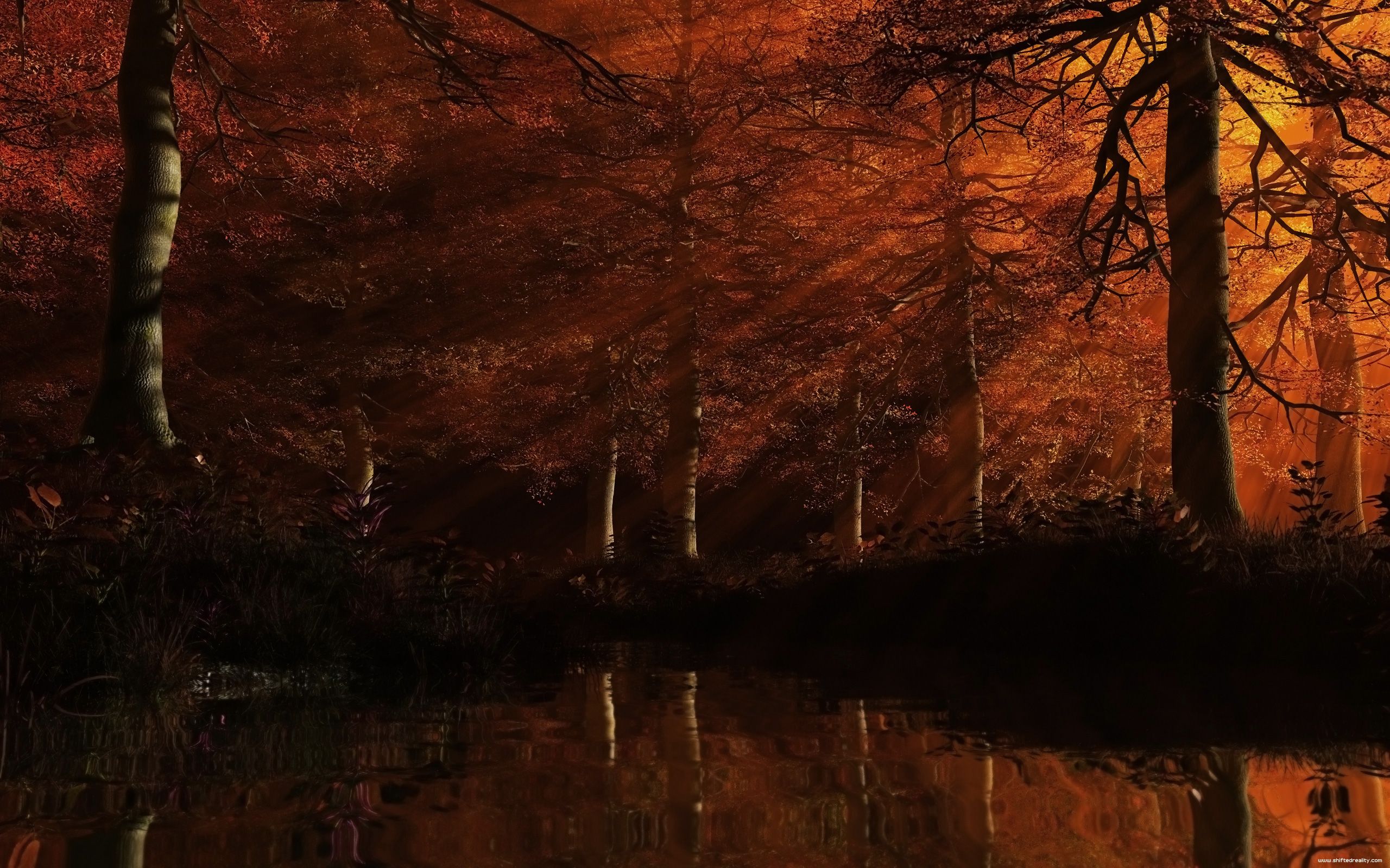  Dark Autumn Tree Background Wallpaper Full HD Download  CBEditz