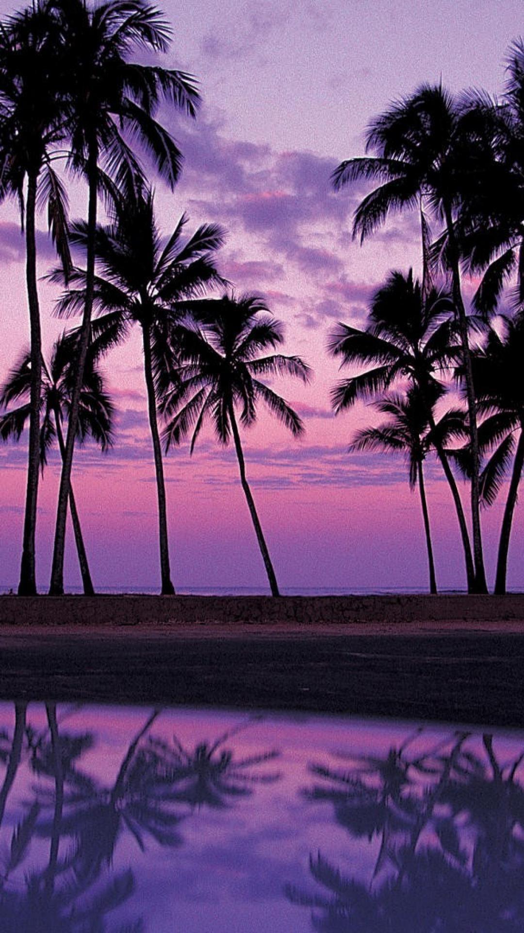 Palm Tree Sunset Beach Wallpaper