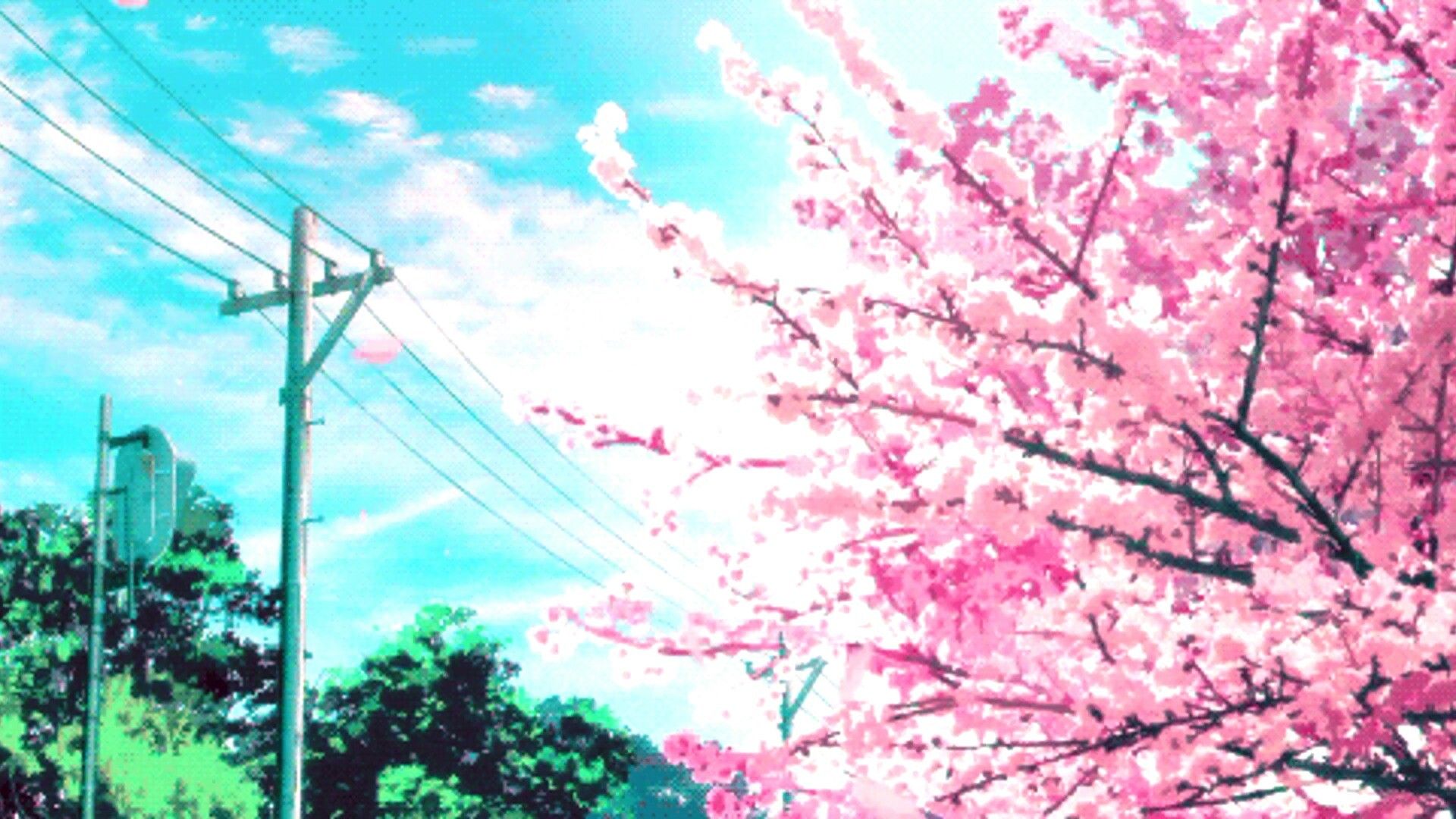 Sakura Tree  Cute Anime Girls Wallpapers and Images  Desktop Nexus Groups