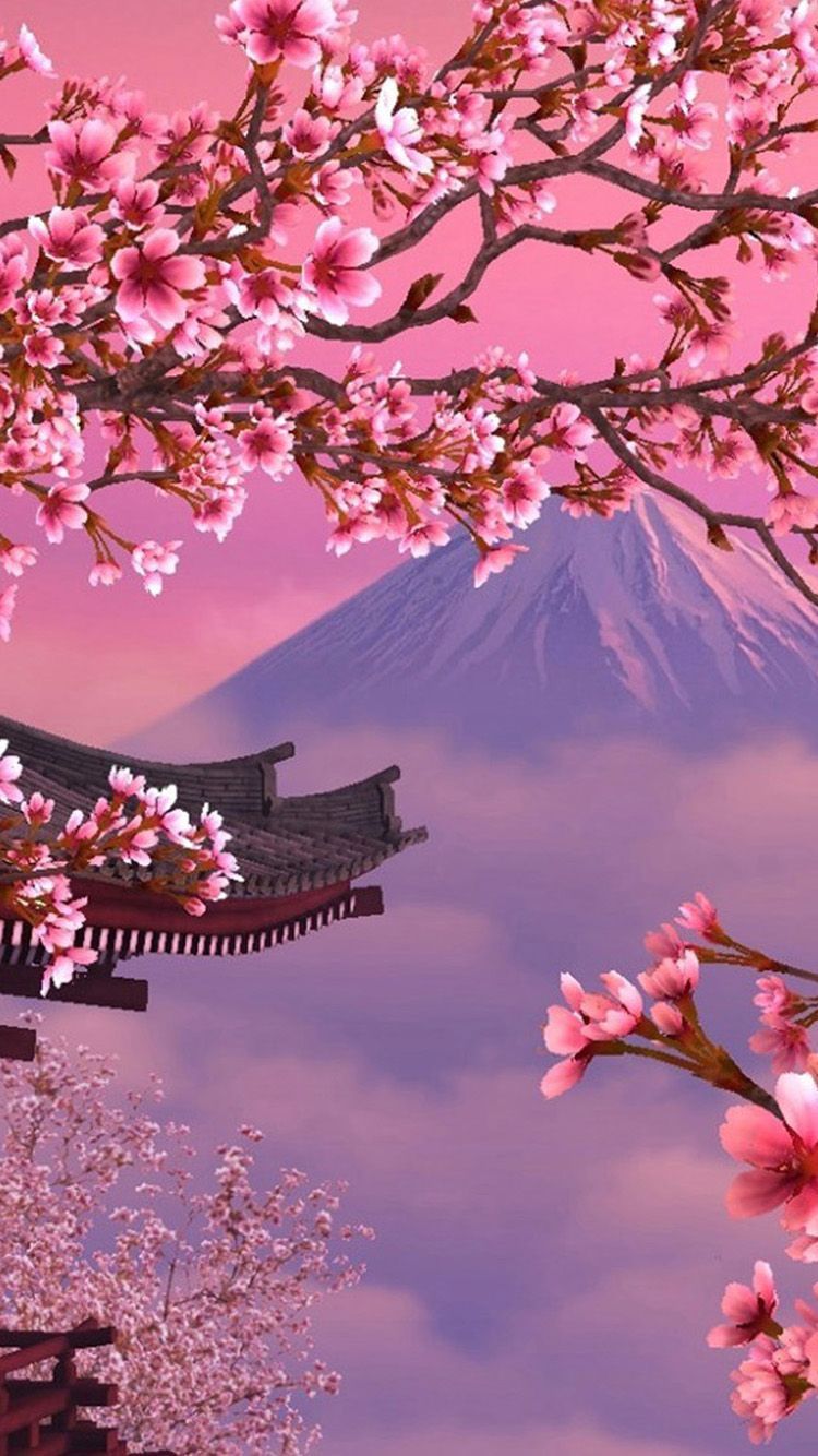 Cherry Blossom Spring Tree Purple Flowers Snow Mountain Peaks   Wallpapers13com