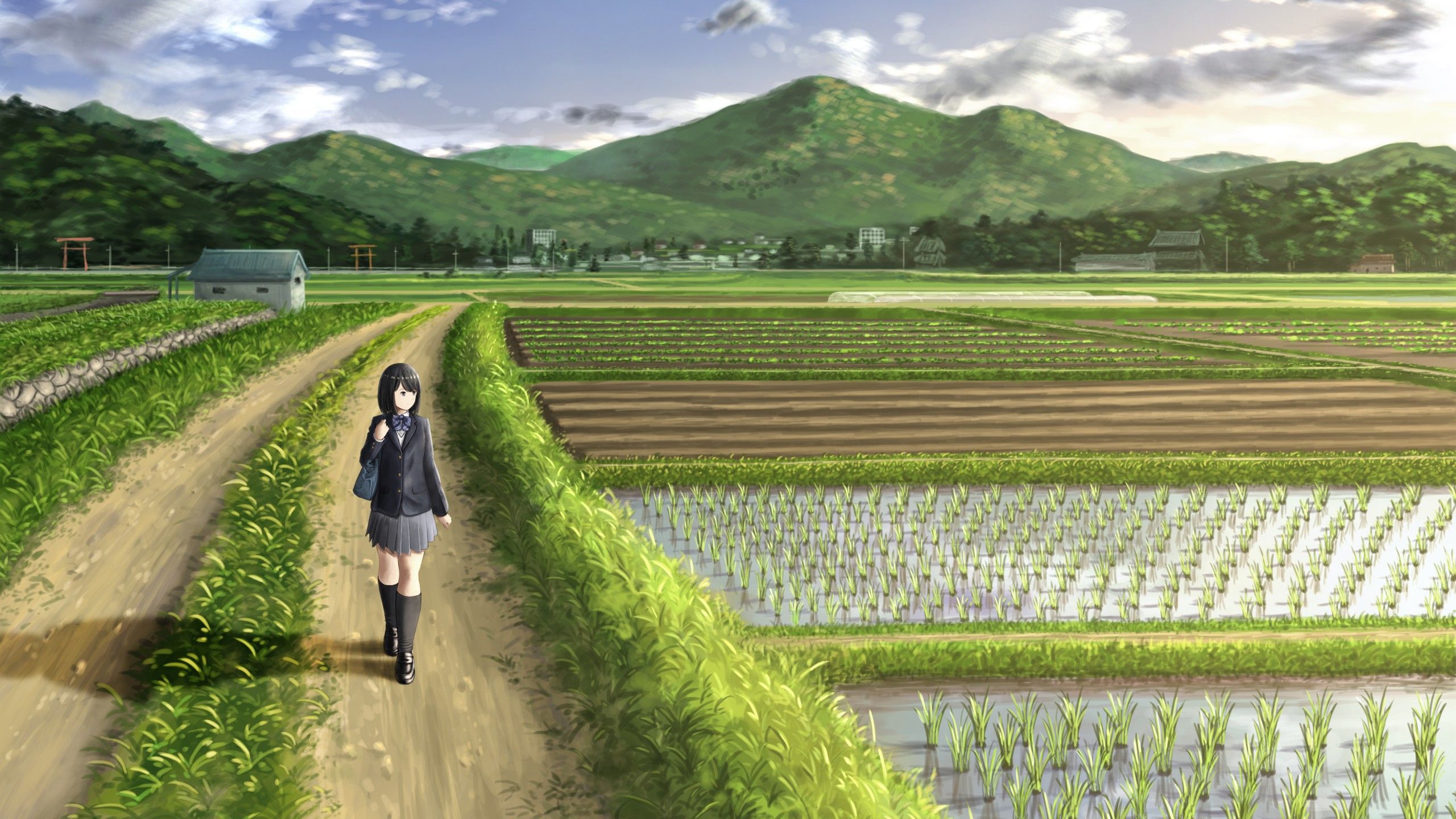 Wallpaper : field, clouds, clear sky, anime girls, Pink atmosphere  3840x2160 - gkarsten6 - 2254352 - HD Wallpapers - WallHere