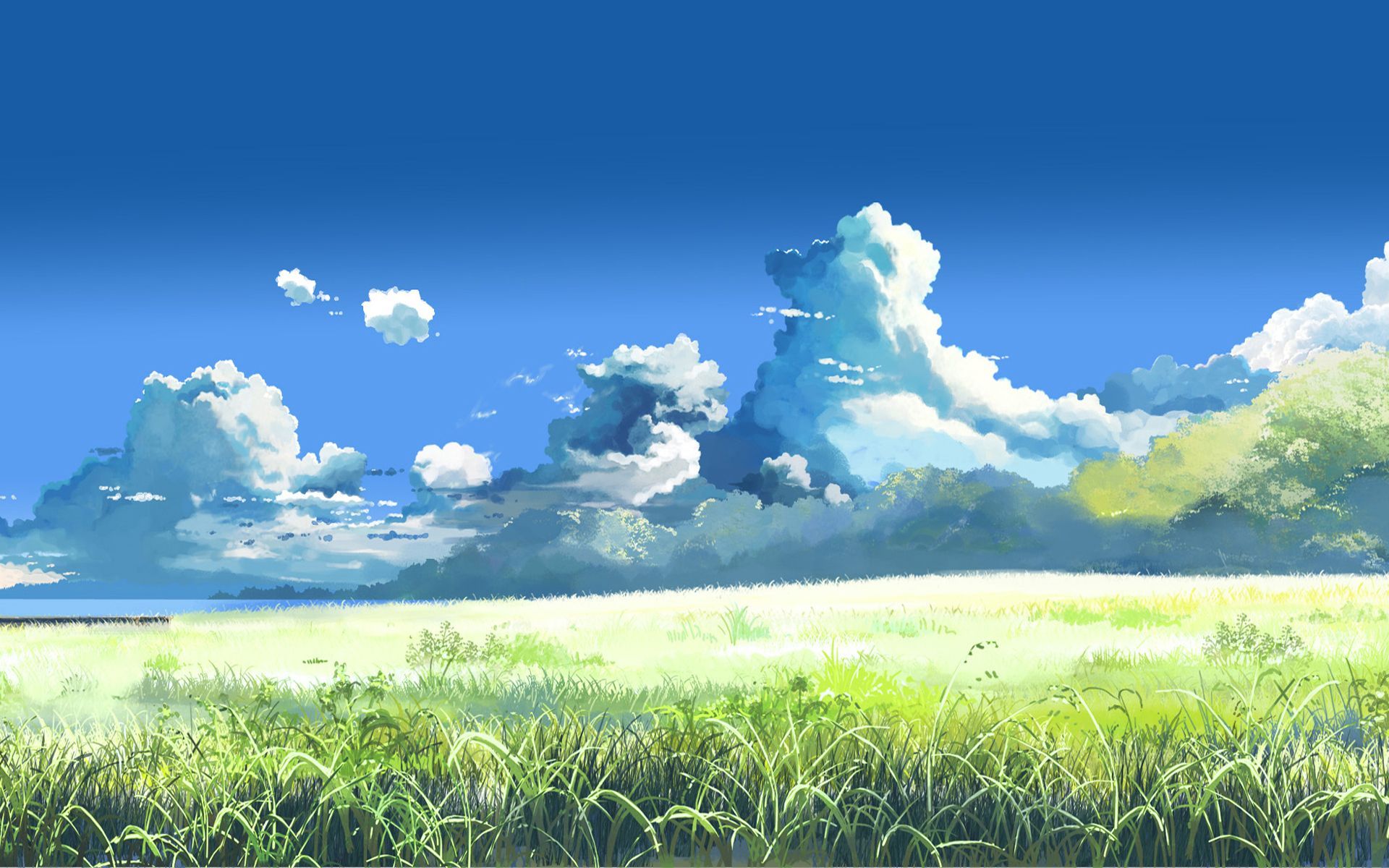 Tree Green Grass Field Blue Sky Anime Background Anime Background HD  wallpaper  Peakpx