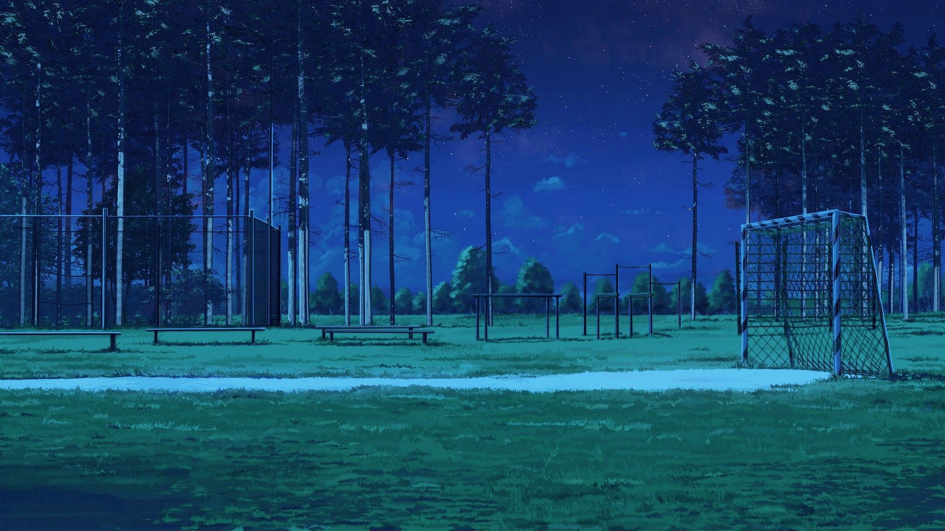 HD desktop wallpaper Anime Grass Stars Night Light Comet Original  download free picture 857091