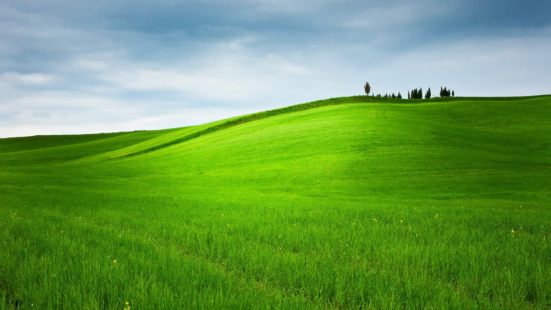 🔥 Green Grass Field Background HD Images Download | CBEditz