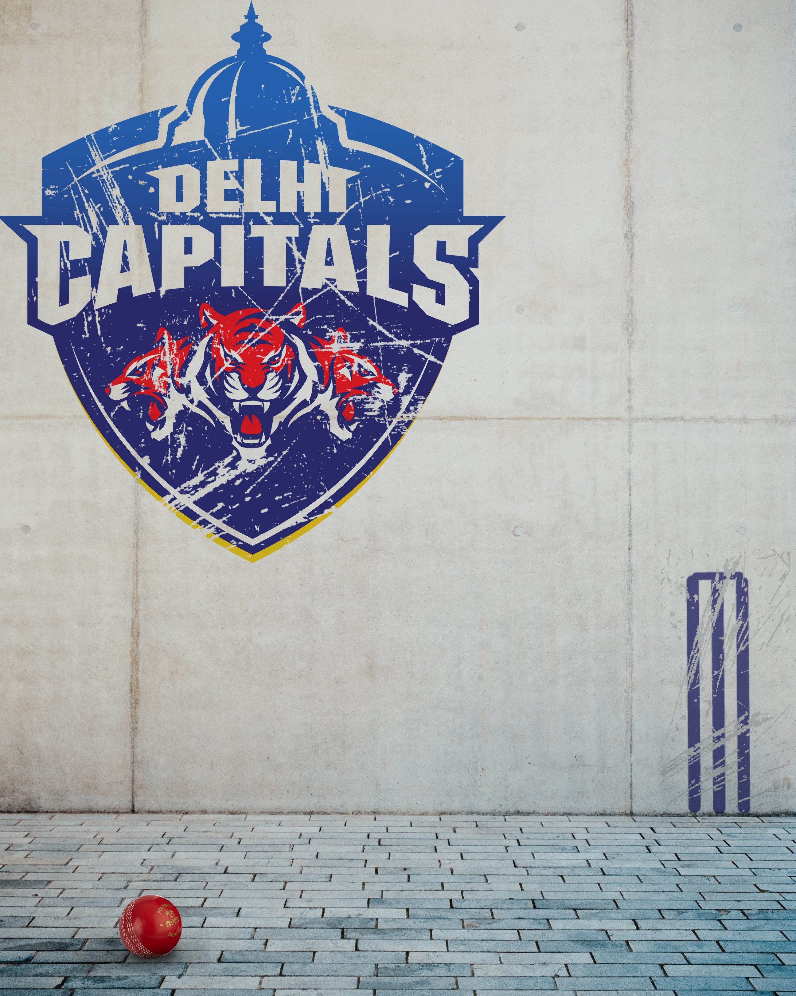 Buy Delhi Capitals Wild - Fridge Magnets from Fancode Shop