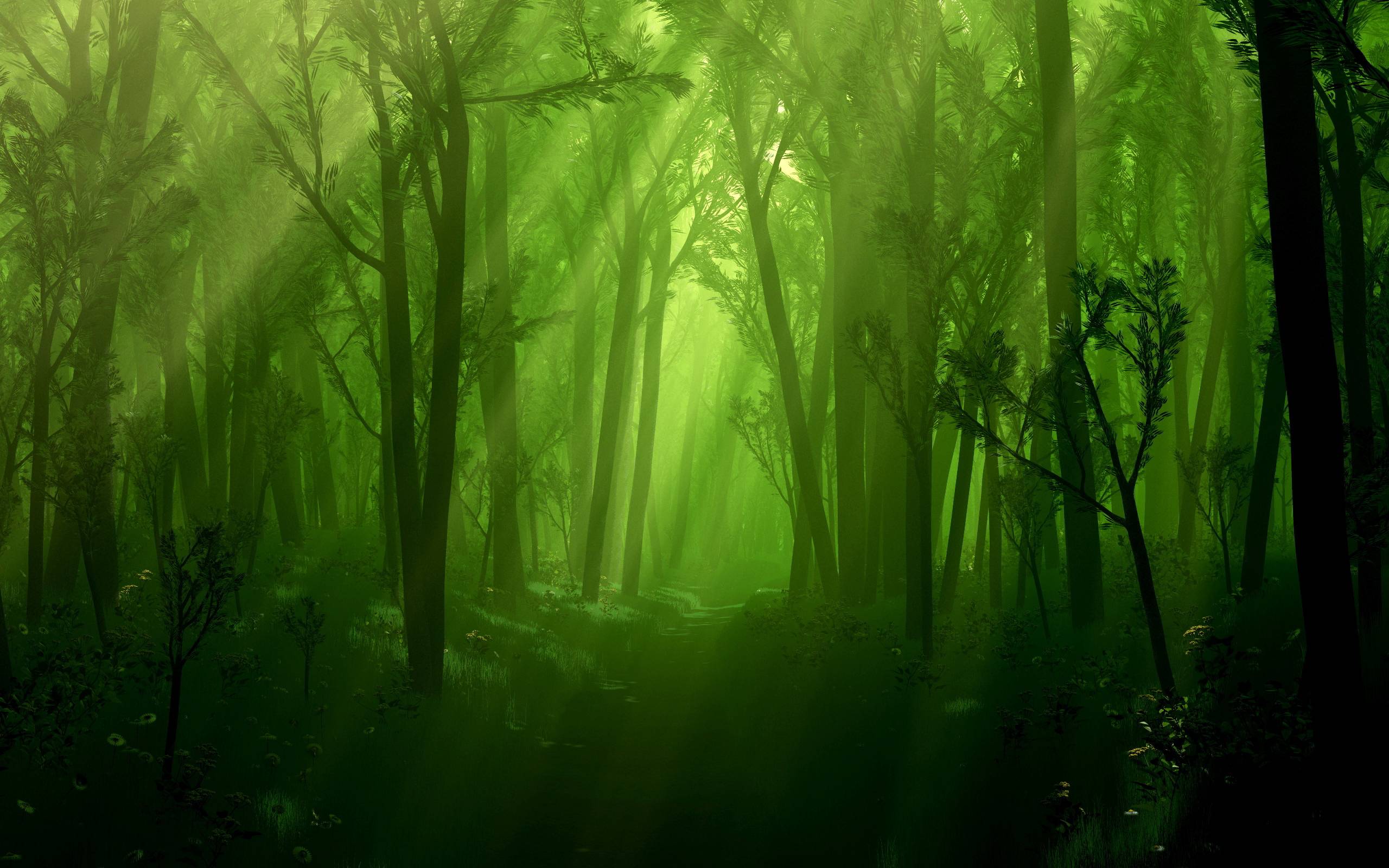 foggy green forest background