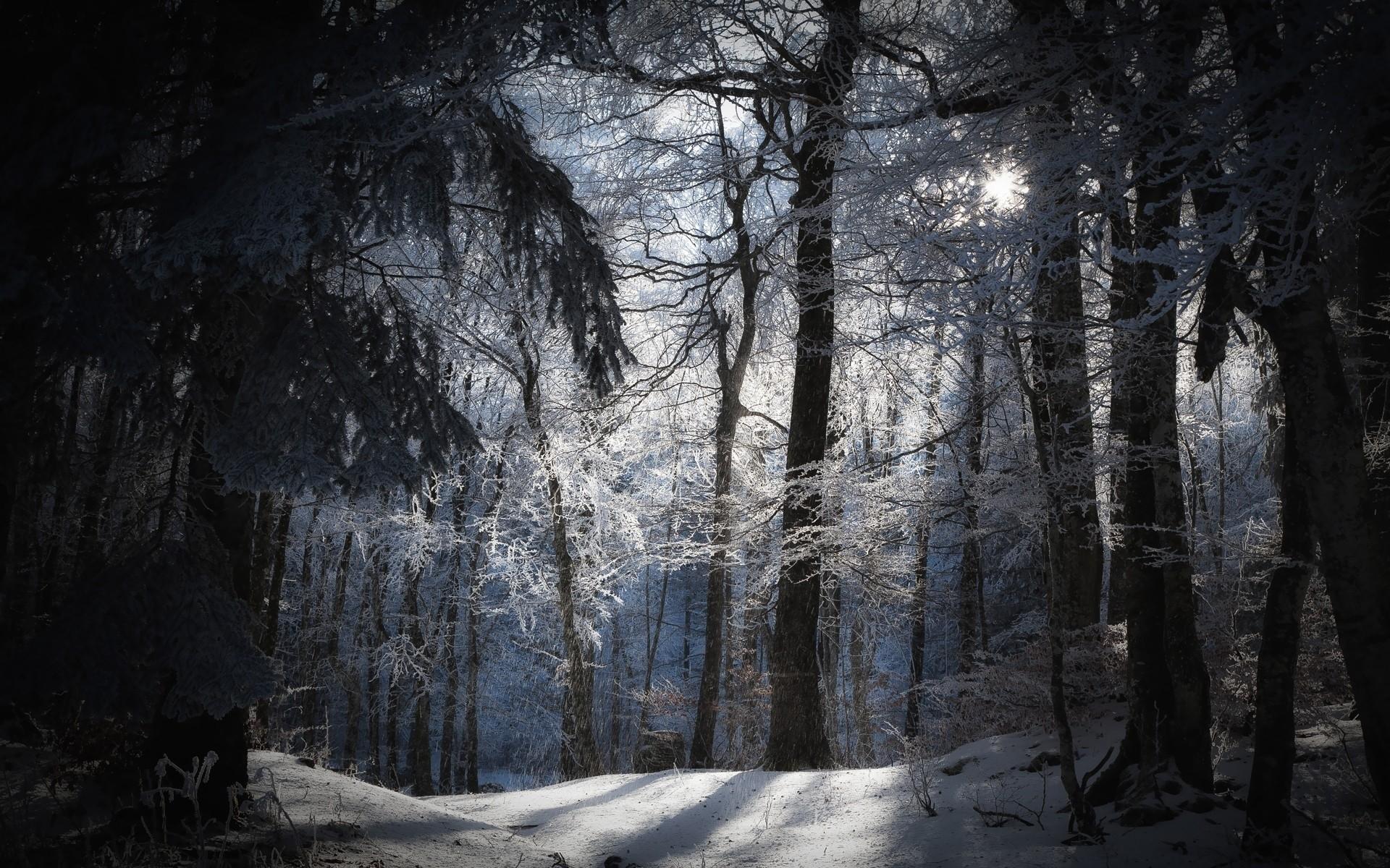 Dark Winter Wallpaper Images - Free Download on Freepik