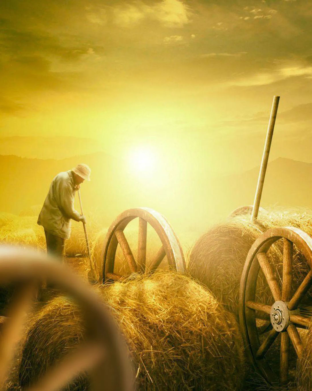 Kisan Diwas 2019 Wishes: WhatsApp Messages, Images, Quotes, SMS, Greetings  to Celebrate National Farmers' Day | 🙏🏻 LatestLY
