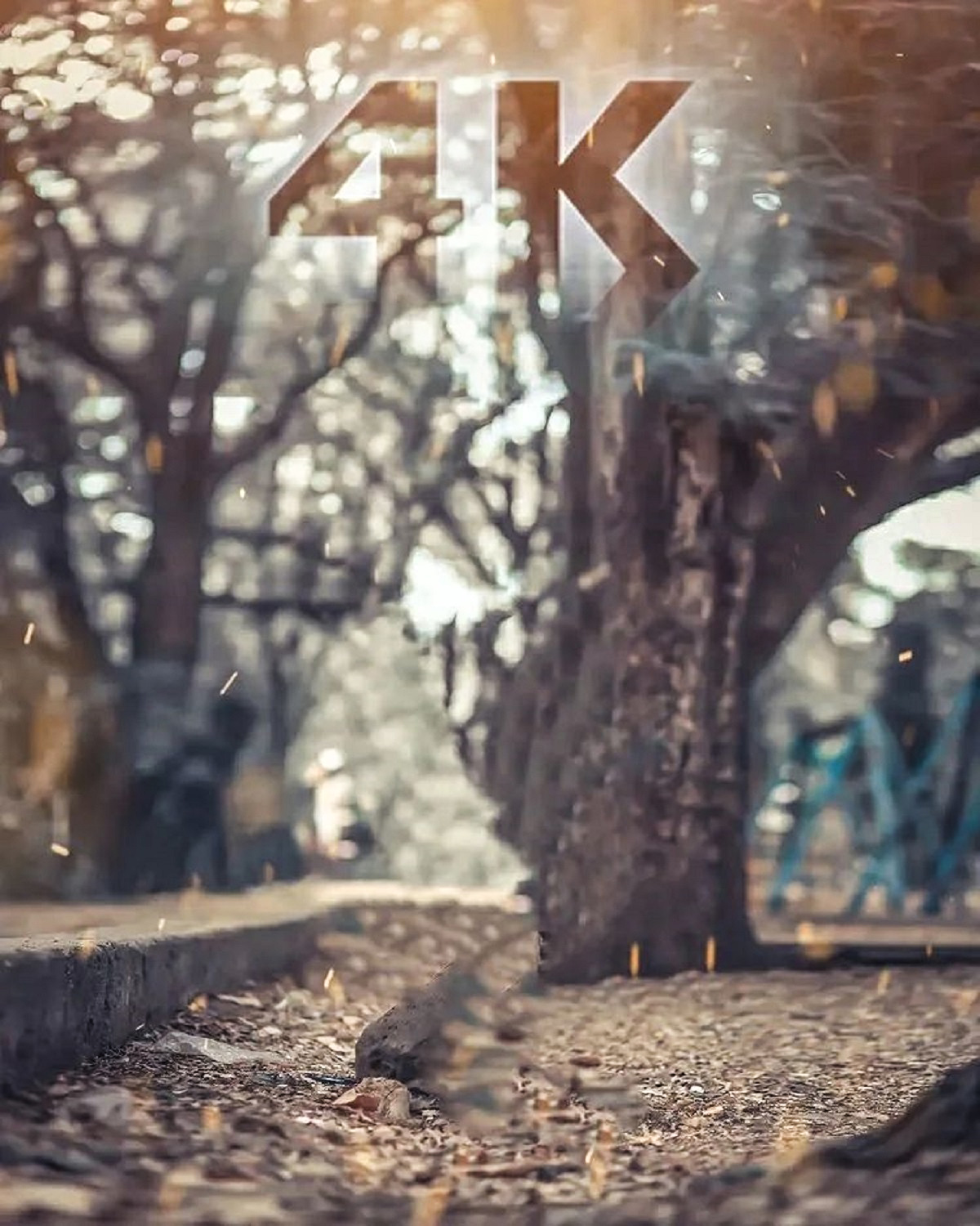  Forest Blur Picsart Editing Background Full HD Download | CBEditz
