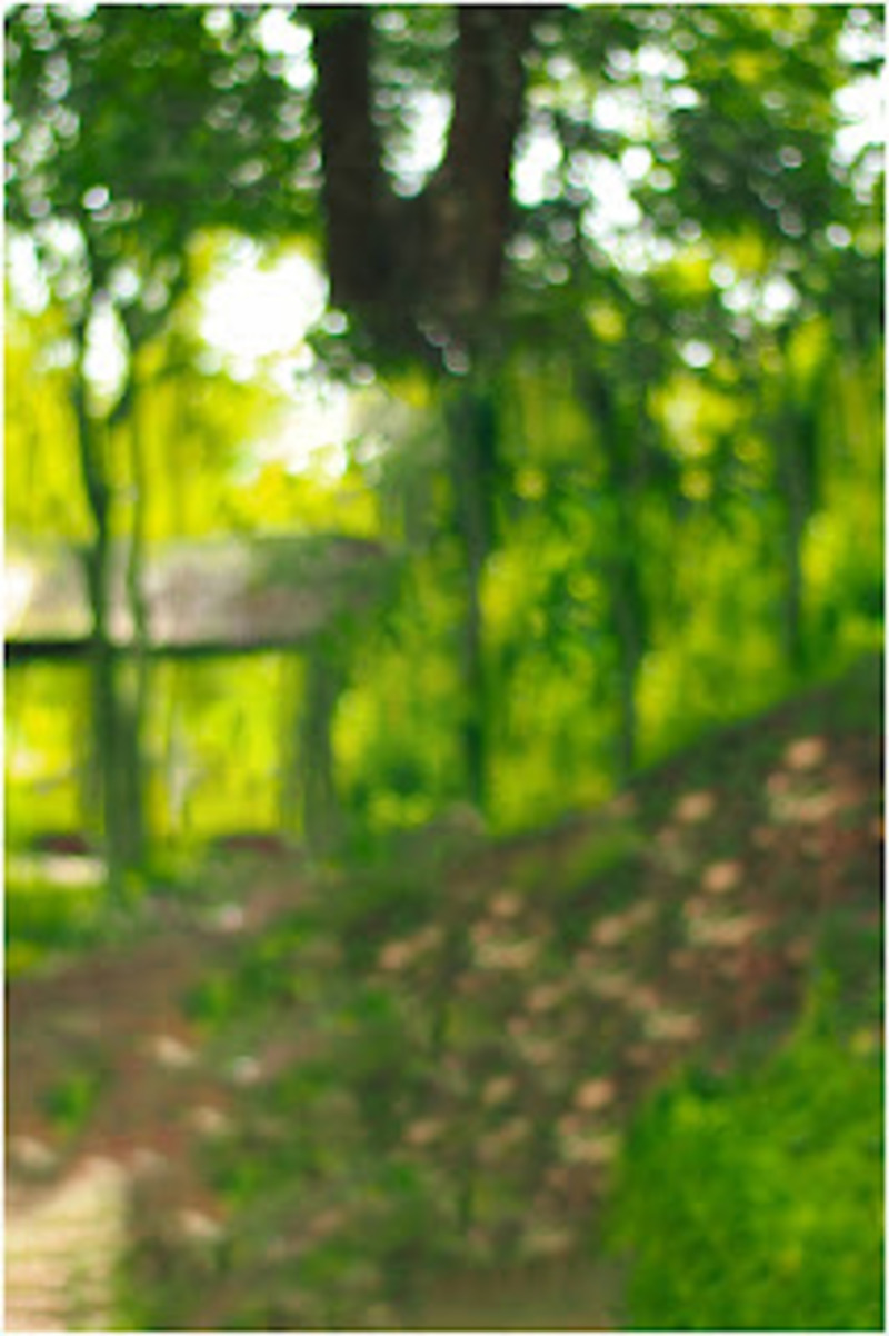  Green Forest Blur CB Background Full HD Download | CBEditz