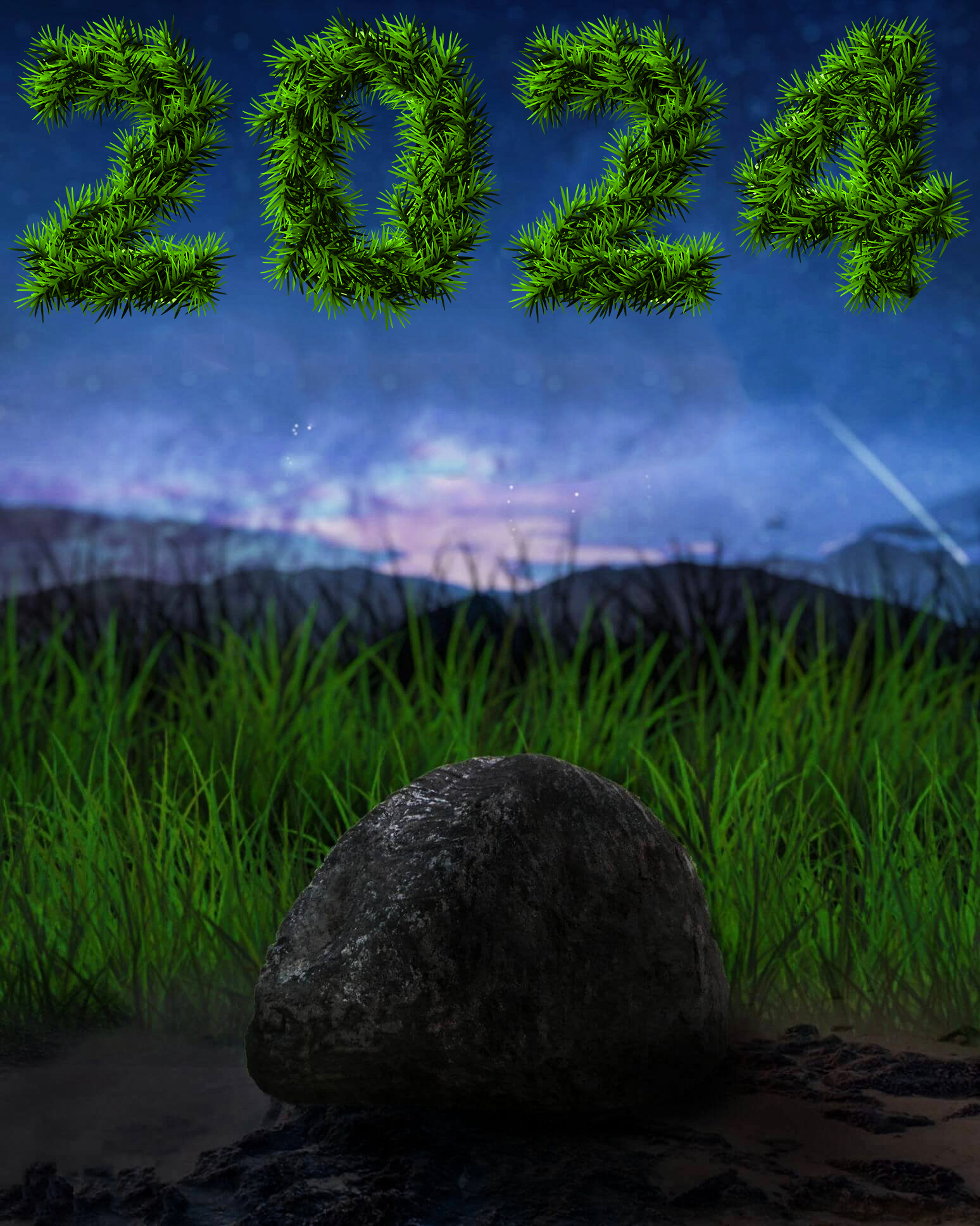 🔥 Happy New Year 2024 Rock In The Grass Lightroom Background CBEditz