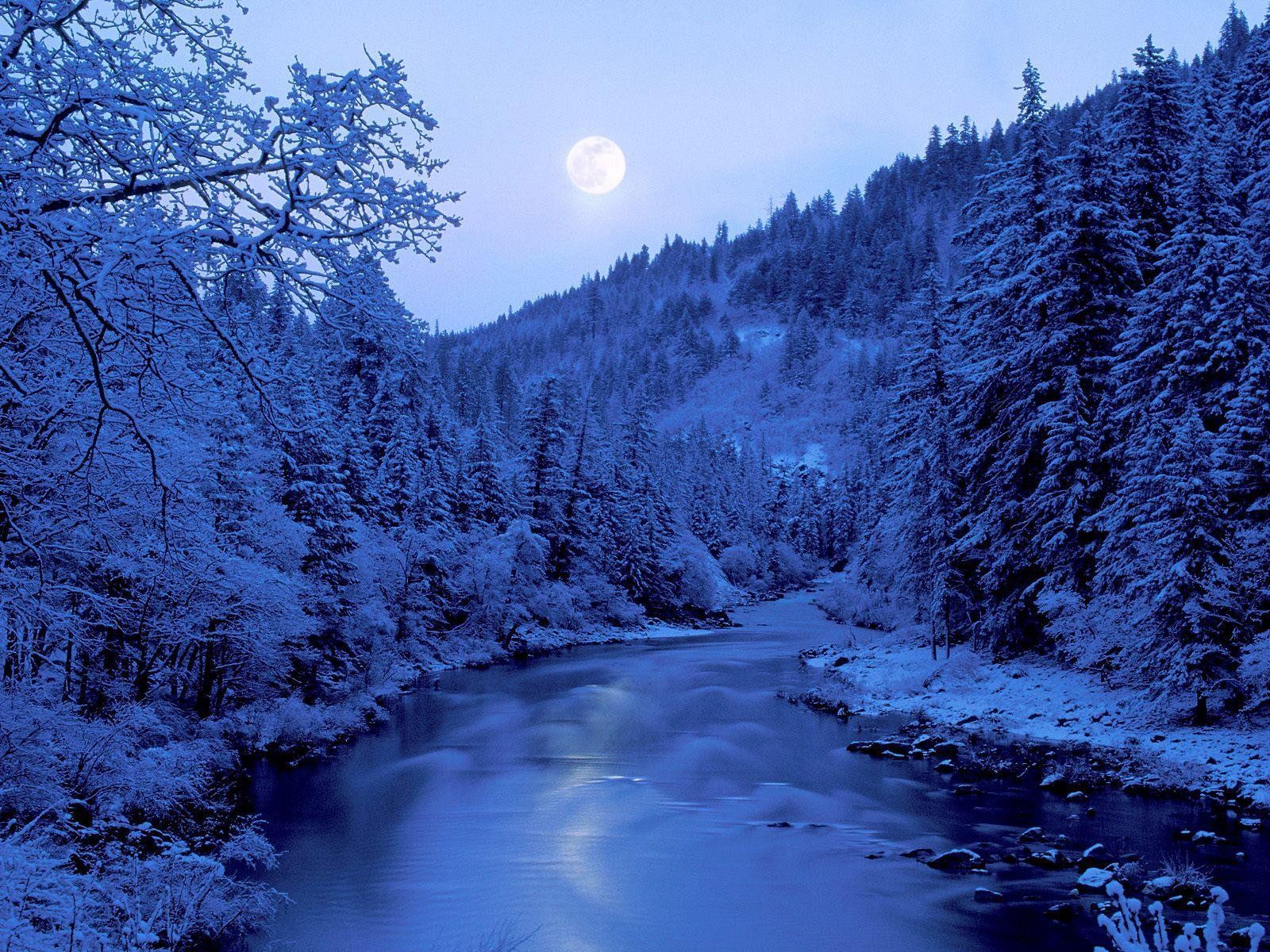 🔥 Lake Moon In Sky Winter Forest Background HD Wallpaper Free | CBEditz