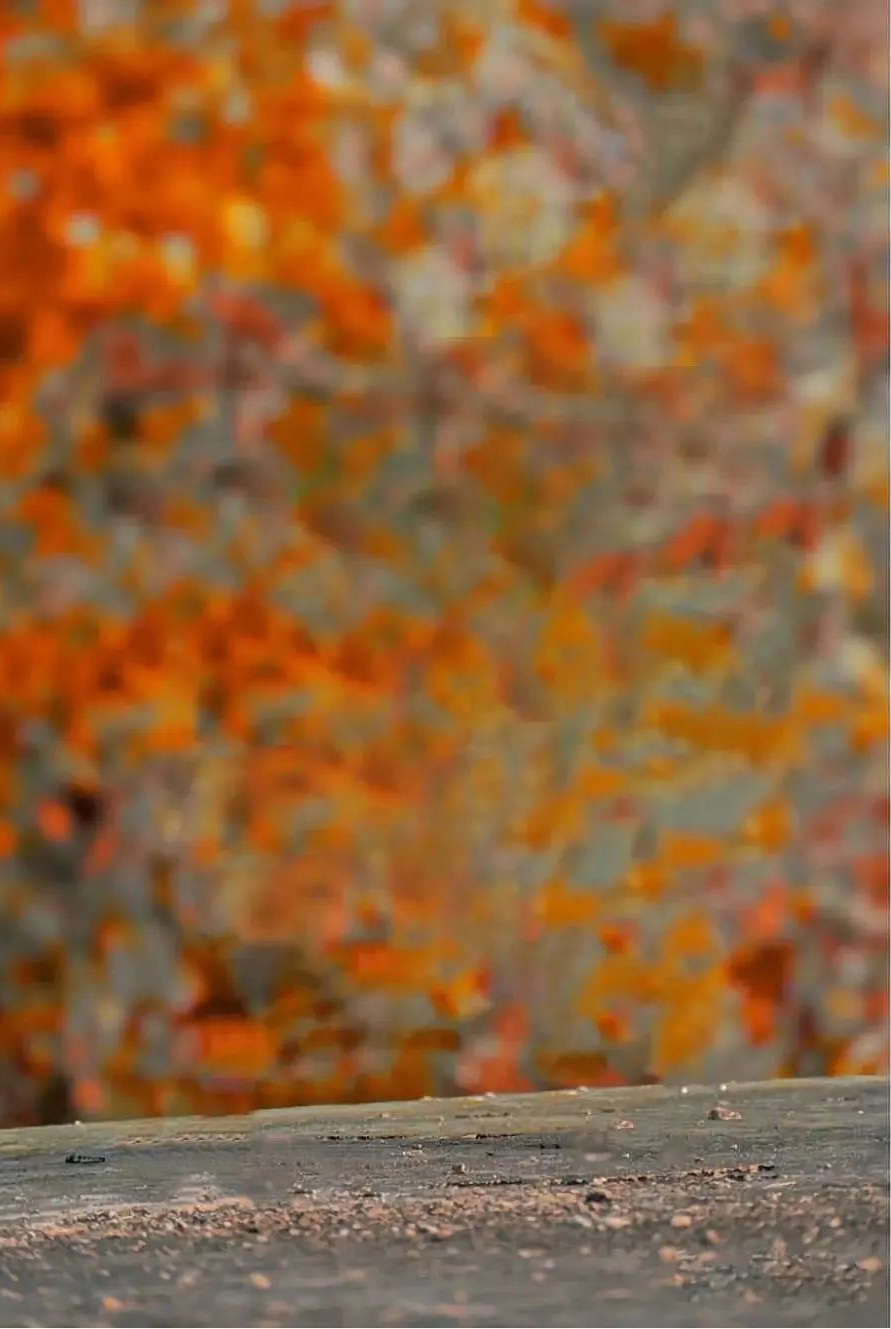  Snapseed Blur Picsart Background HD Download | CBEditz