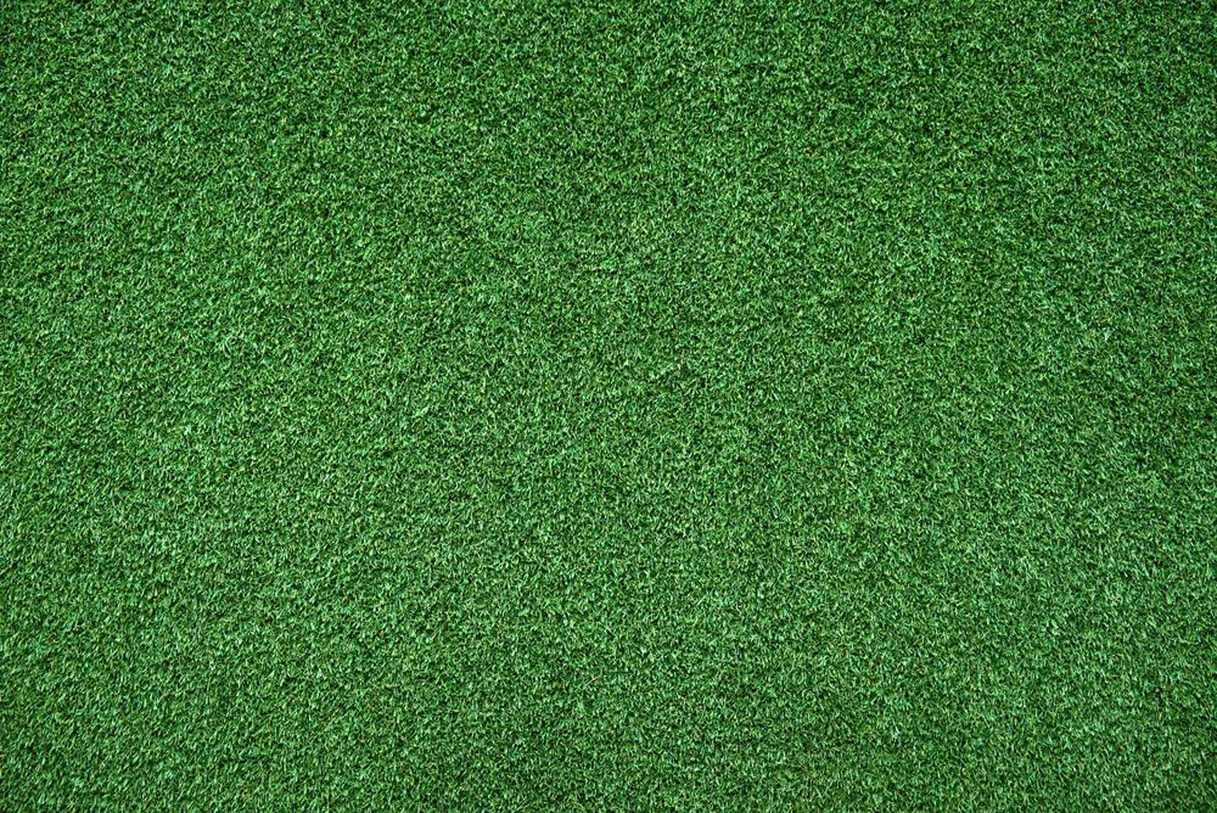 Grass Field Wallpapers  Top Free Grass Field Backgrounds  WallpaperAccess