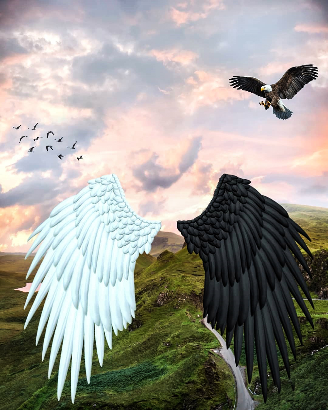  White Black Wings Photo Editing Background Full HD Download ...
