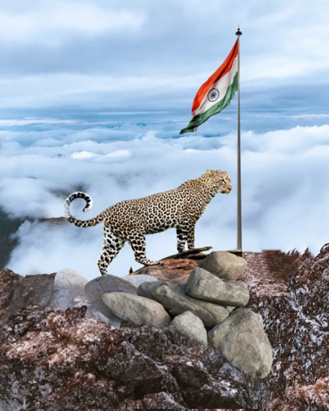 15 August CheetahWith Flag  CB PicsArt Editing Background