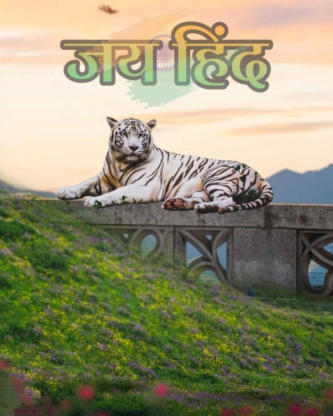 26 January Republic Day Tiger Editing Background HD