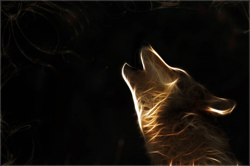 Abstrct Wolf Background Full HD Wallpaper Download