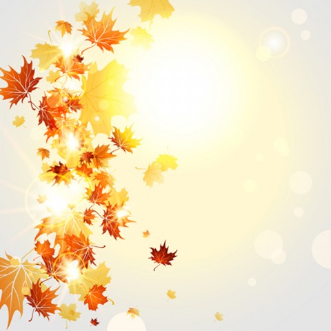 Autumn Fall Leaves PowerPoint Background