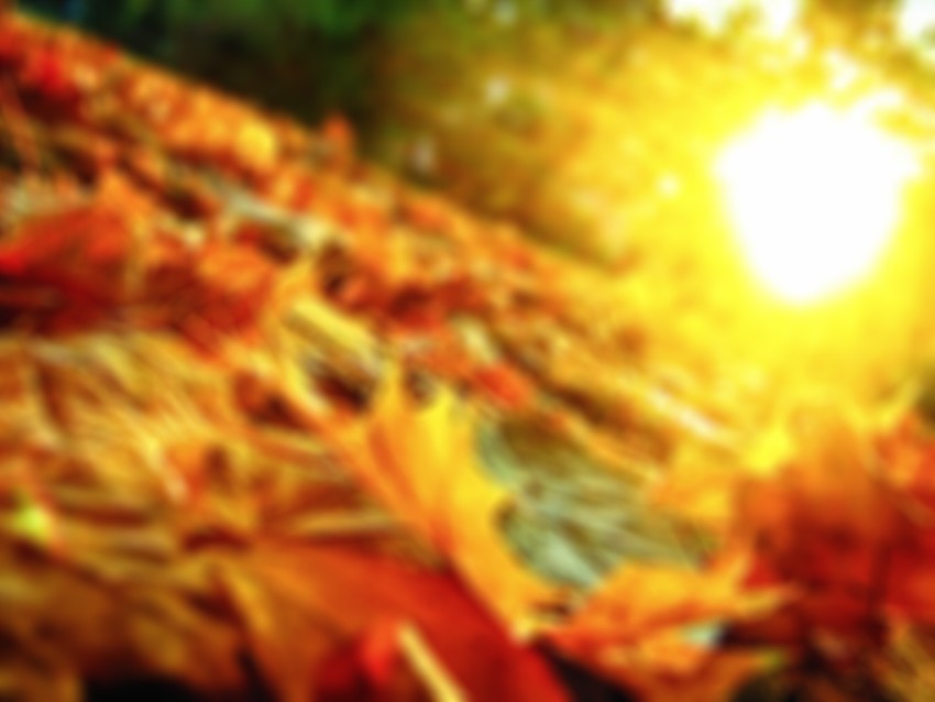 Autums Leaves CB Editing Background Full HD Download