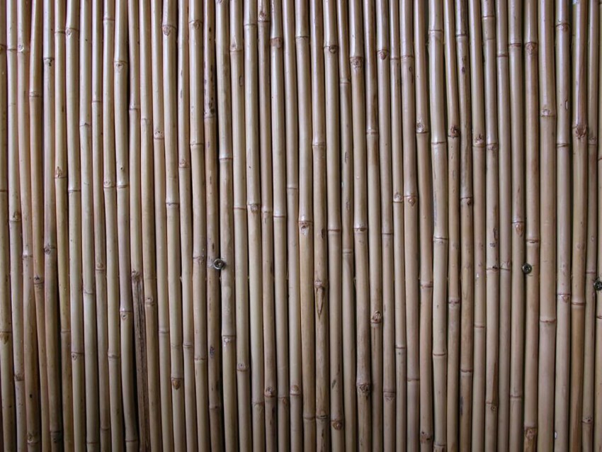 Bamboo Background High Quality Download