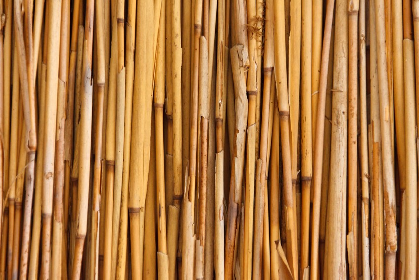 Bamboo Background High Resolution Pic