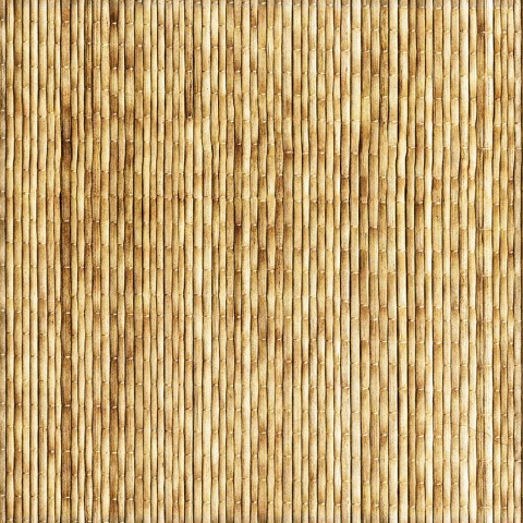 Bamboo Texture Background High Resolution Download