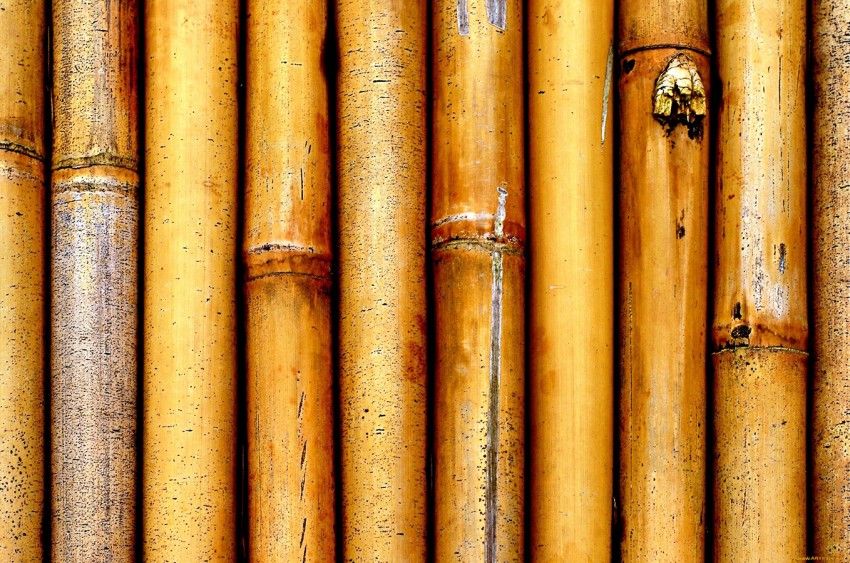 Bamboo Texture Background High Resolution Pic