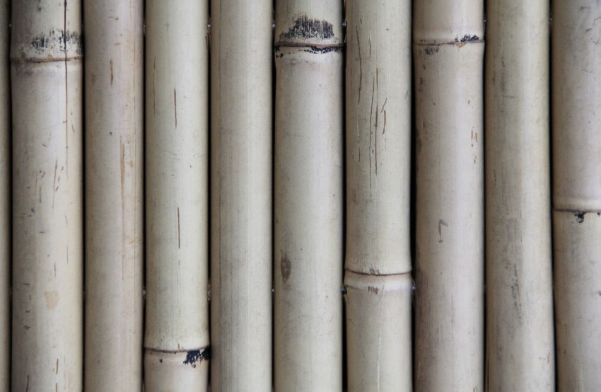 Bamboo Texture HD Background Wallpaper