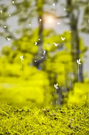 Bird Flying Tree Snapseed Background HD Download