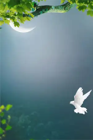 Bird Poster CB Editing Background Download
