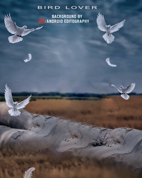 Birds Editing CB Background Download
