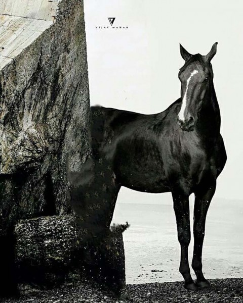 Black Horse New CB Background Hd