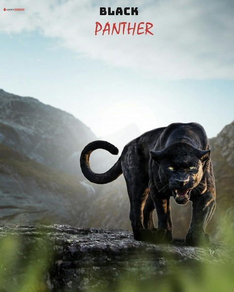 Black Panther PicsArt CB Editing HD Background