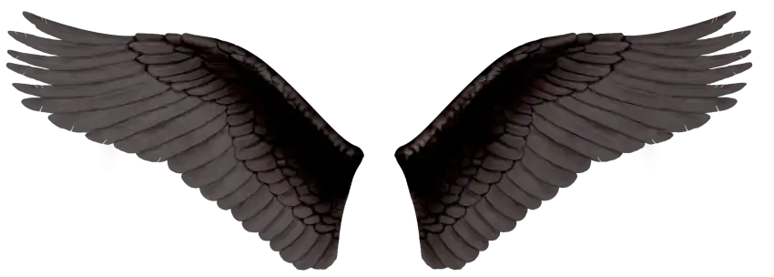 Black Realistic Wings PNG Images Download