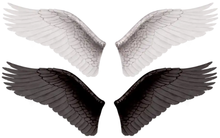 Black White Devil Wings PNG Images Download