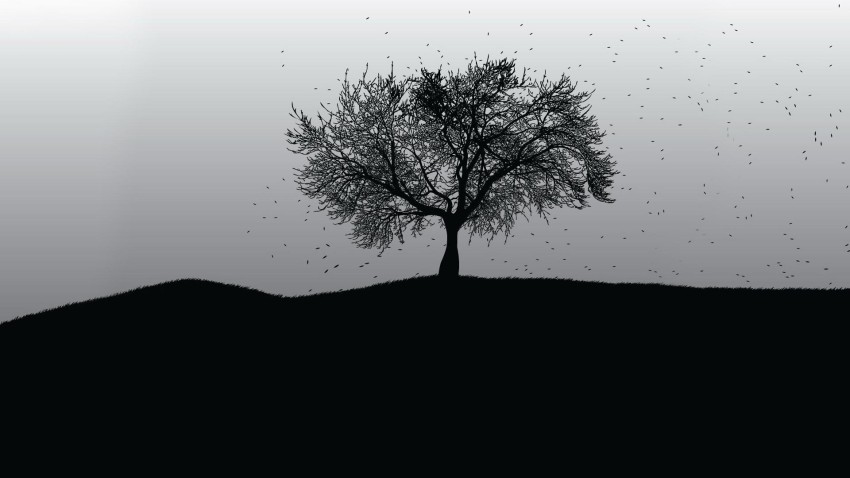 Black White Tree Background HD Wallpaper Download