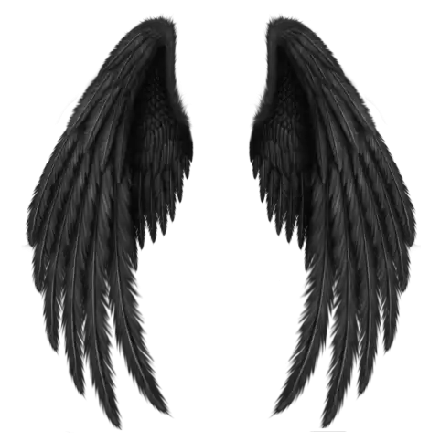 Black Wings PNG File High Resolution Pic Download