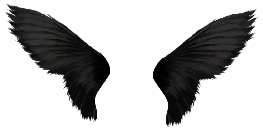 Black Wings PNG File High Resolution Pic Download